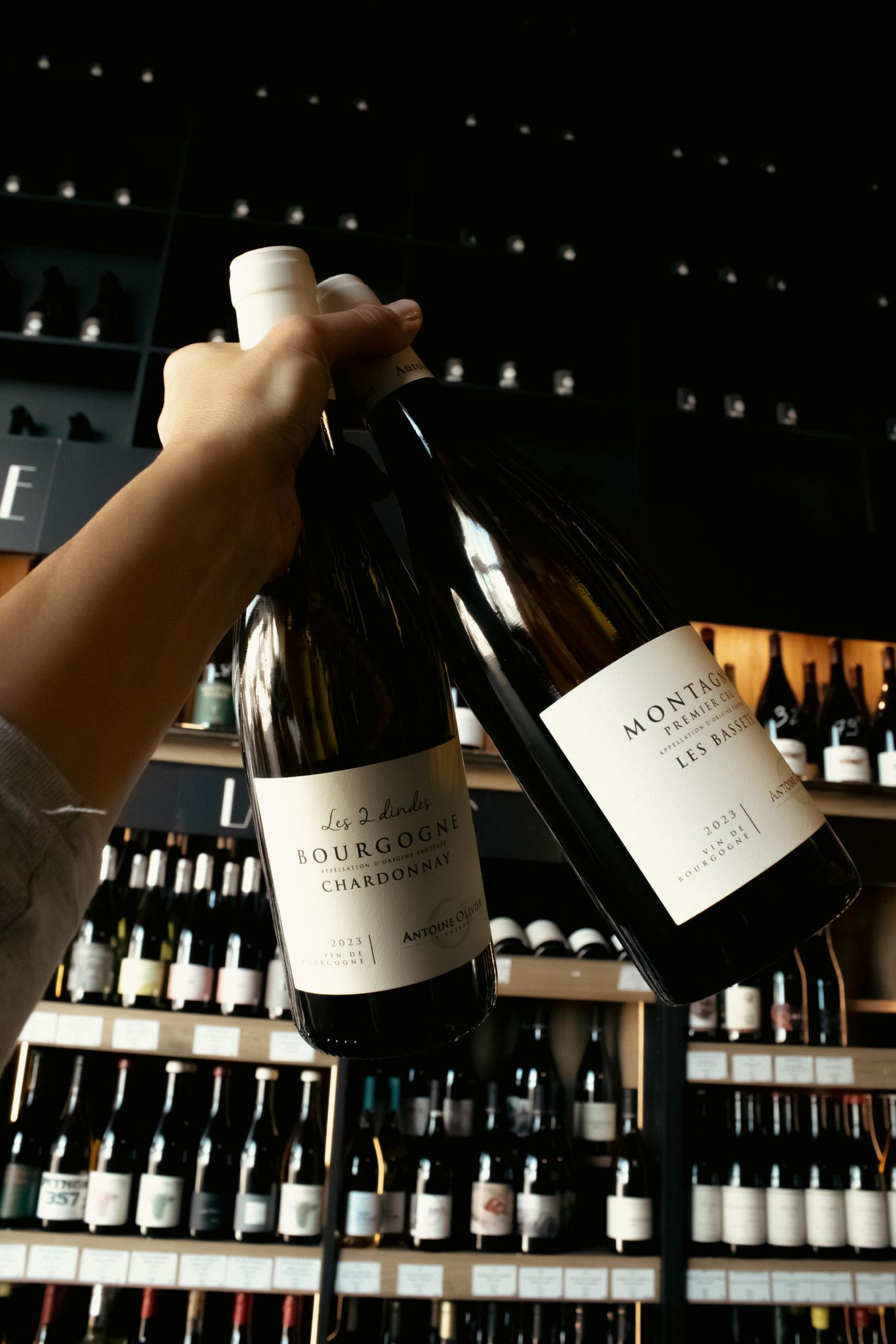 Cave à vin HANGAR C